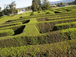 Das Zentrum dieses Labyrinths galt es zu finden (hier nur ein sehr kleiner Ausschnitt)