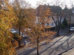 Ein kurzer Blick aus dem Fenster ... Herbst in Mannheim